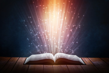 国产车拥有迈巴赫体验