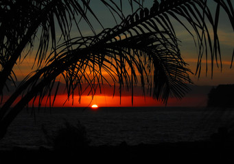 你们觉得奇瑞汽车怎么样？