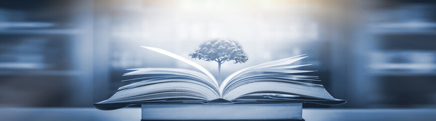 乒乓球球在对面可以触桌几次