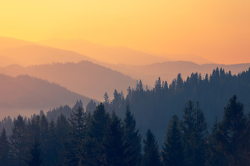 中国十佳运动员名单