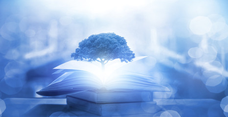 乒乓球球在对面可以触桌几次