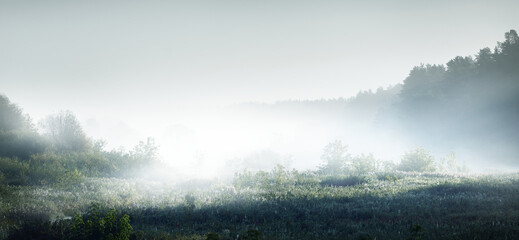 国产车可以媲美荣放