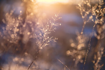 女团比赛中为什么感觉陈梦比不上搭档王曼昱？