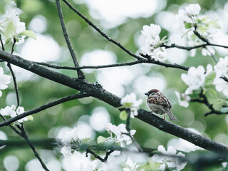 你们觉得奇瑞汽车怎么样？