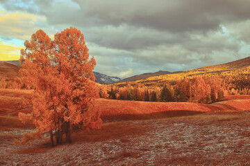 女团比赛中为什么感觉陈梦比不上搭档王曼昱？