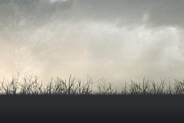 女团比赛中为什么感觉陈梦比不上搭档王曼昱？