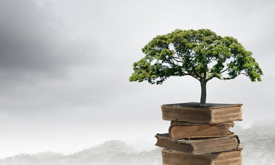 国产车拥有迈巴赫体验