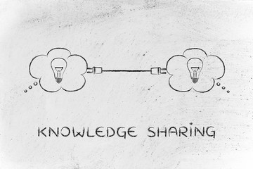 中国十佳运动员名单