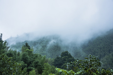 中国十佳运动员名单